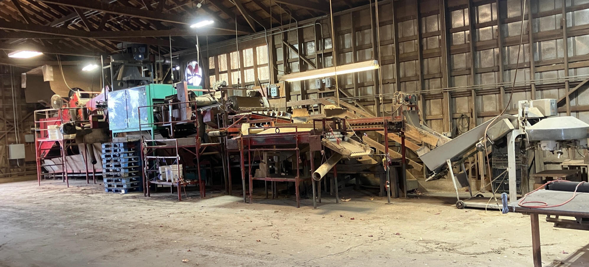Entire Onion Packing Line